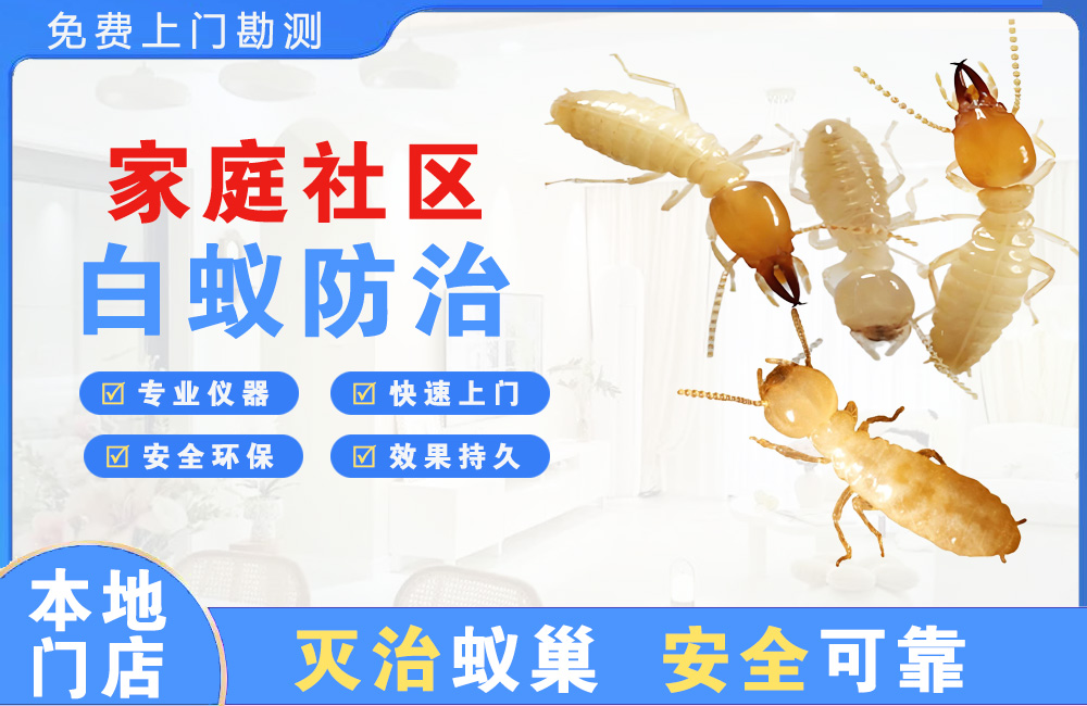 珠海家庭社区白蚁防治