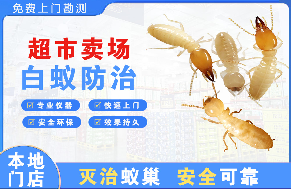 珠海超市卖场白蚁防治