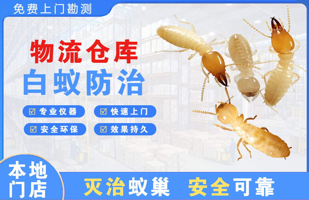 珠海物流仓库白蚁防治