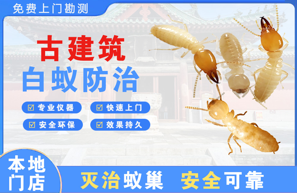 珠海古建筑白蚁防治