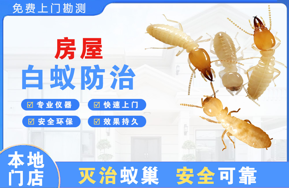 珠海房屋白蚁防治