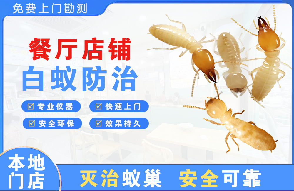 珠海餐厅店铺白蚁防治